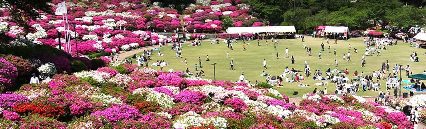 福井県鯖江市「西山公園・西山動物園」